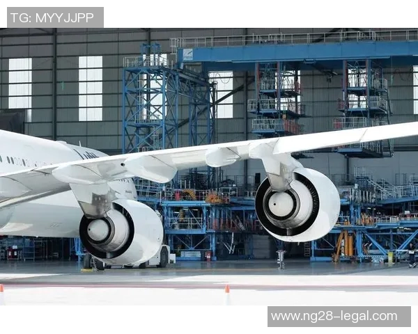 姚明织带物流助力中国体育产业发展与国际市场拓展新机遇